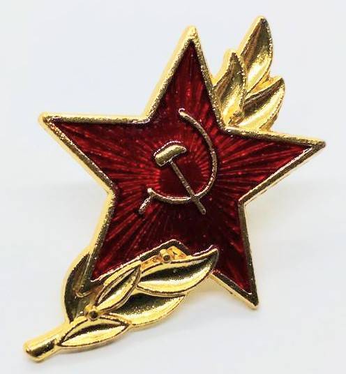 送料無料 CCCP ソビエト社会主義共和国連邦 草 ピンブローチ ピンズ PINS バッジ バッヂ アメリカン雑貨 スマアク