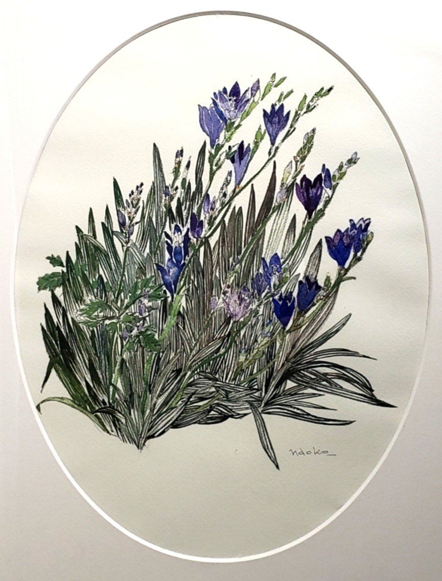ジャンセン 「野の花」、希少画集より、 新品高級額装付