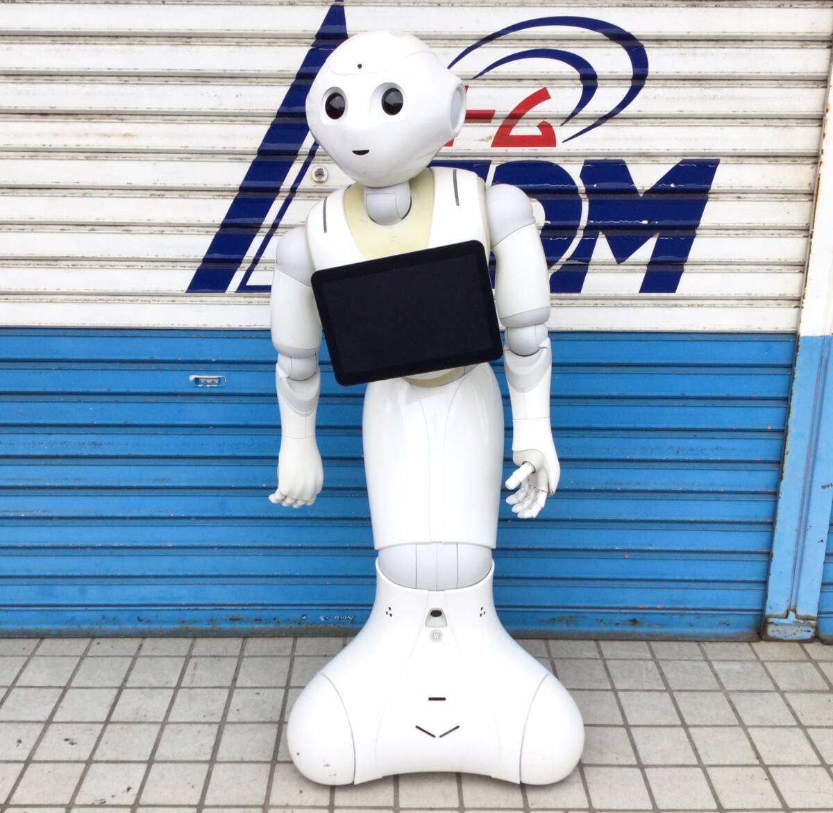 Yahoo!オークション -「ペッパー ロボット」の落札相場・落札価格 Yahoo!オークション -「ペッパー ロボット」の落札相場・落札価格
