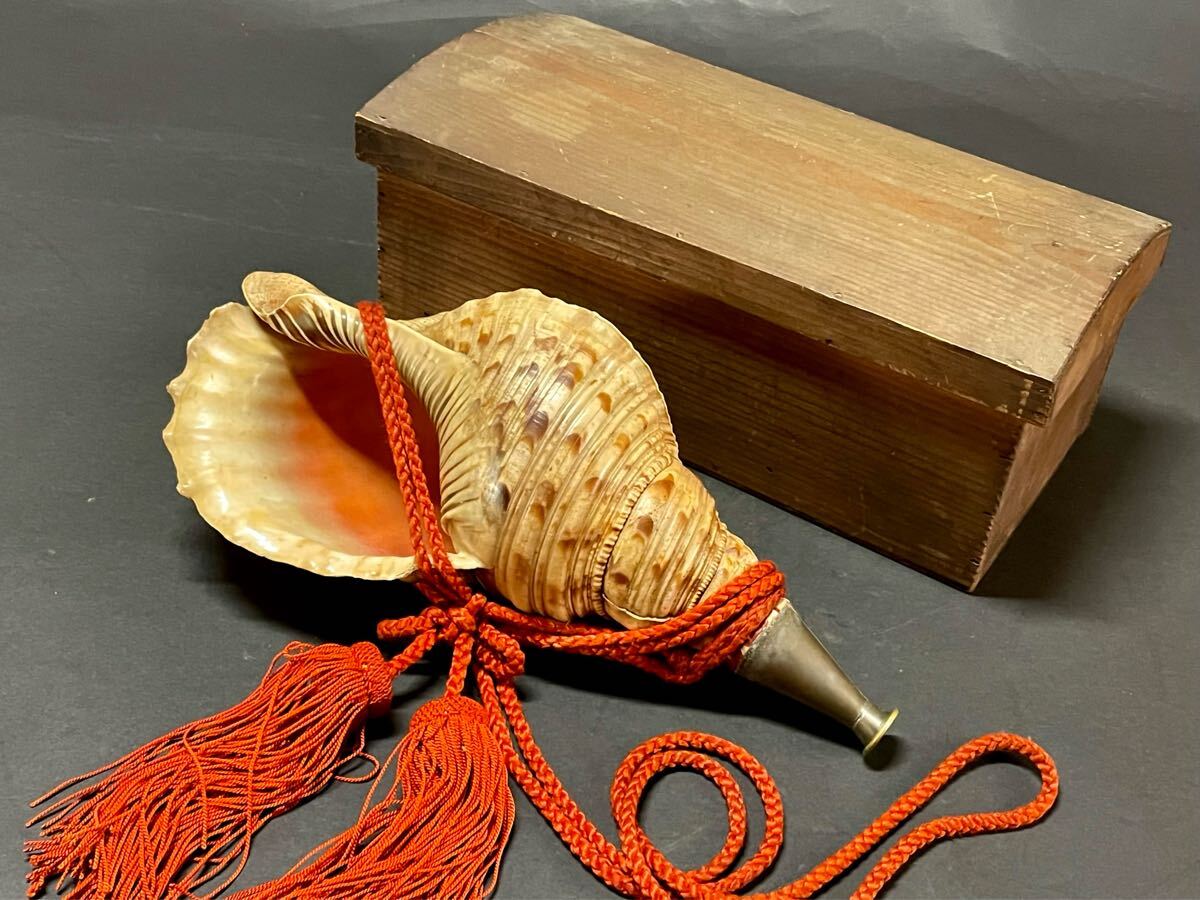 2025年最新】Yahoo!オークション -山伏 法螺貝の中古品・新品