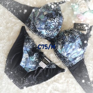 C75/M ネイビー ローズ刺繍 L字ワイヤー サイドストリング ブラジャー ショーツ セット 翼