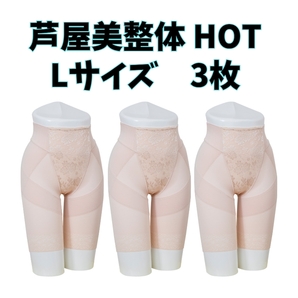 芦屋美整体 骨盤スリムショーツ HOT Lサイズ ベージュ3枚セット 補正下着