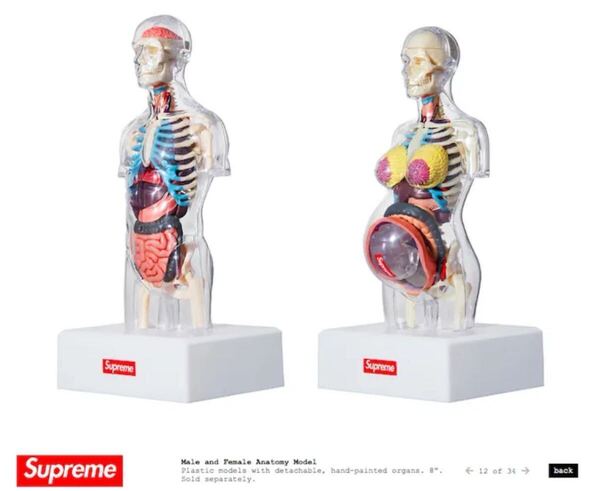 【2体セット】supreme 人体模型 シュプリーム Anatomy フィギュア 付属品完備 18AW Transparent Torso 立体パズル Female male clear