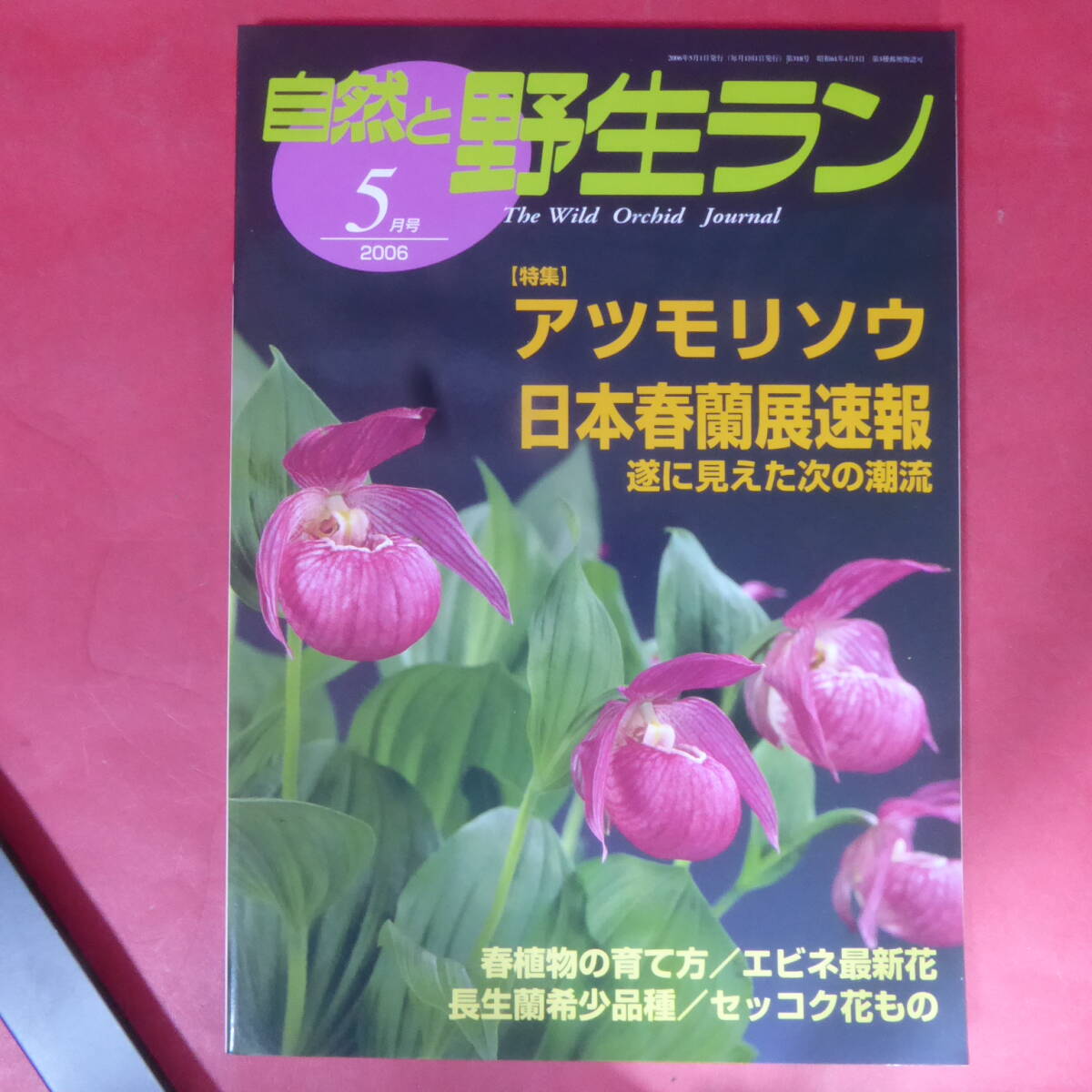 2025年最新】Yahoo!オークション -自然と野生ラン(本、雑誌)の