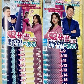 可愛い秘書には野望がある 16巻全巻セット 管理番号21364 DVD レンタル落ち 中国ドラマ タン・ソンユン ケニー・リン リュウ・チャン