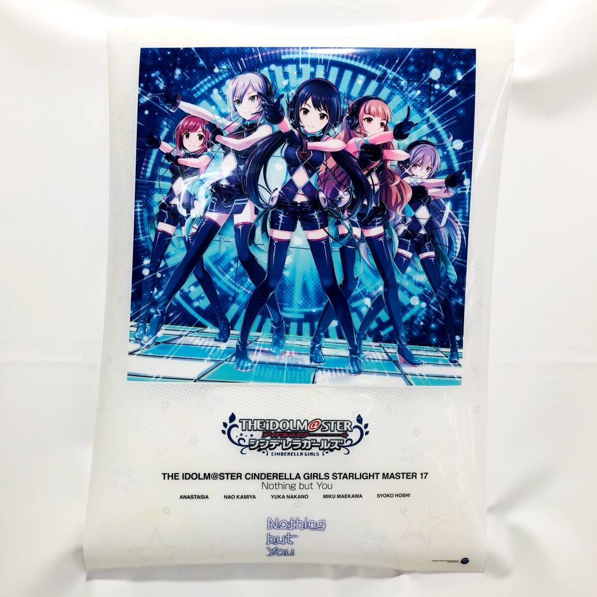 非売品】シンデレラガールズ WINTER and WINDOW クリアポスター