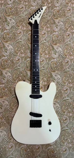 TEJ-75 布袋モデル リミテッドエディション 金ロゴ F.G.I. 中古