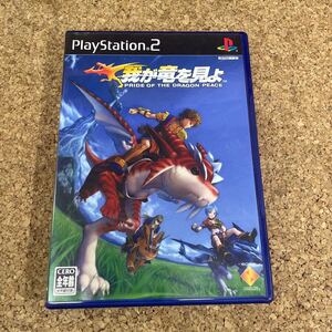 63 PS2 プレイステーション2 我が竜を見よ