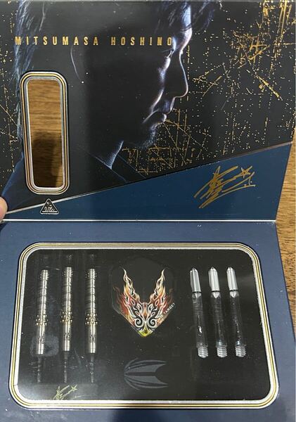 【廃盤激レア】ダーツ TARGET PYRO ストレート