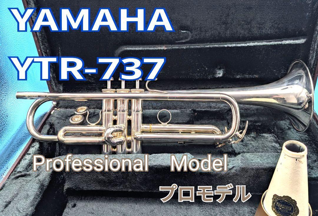 Yahoo!オークション -「737」(管楽器) (楽器、器材)の落札相場 Yahoo!オークション -「737」(管楽器) (楽器、器材)の落札相場