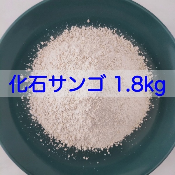 【送料無料】アクアリウム用 化石サンゴ1.8kg 水質改善 pH調整に メダカ 錦鯉