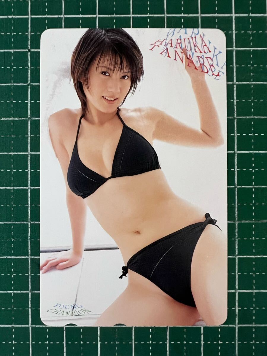 熊田曜子 田辺はるか 松原梨沙 グラビア切抜 週刊ヤングマガジン No.1209 熊田曜子 田辺はるか 松原梨沙 グラビア切抜 週刊ヤングマガジン