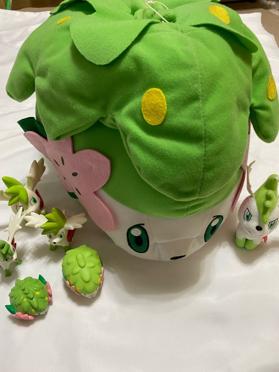 Yahoo!オークション -「ポケモン シェイミ」(キャラクター Yahoo!オークション -「ポケモン シェイミ」(キャラクター