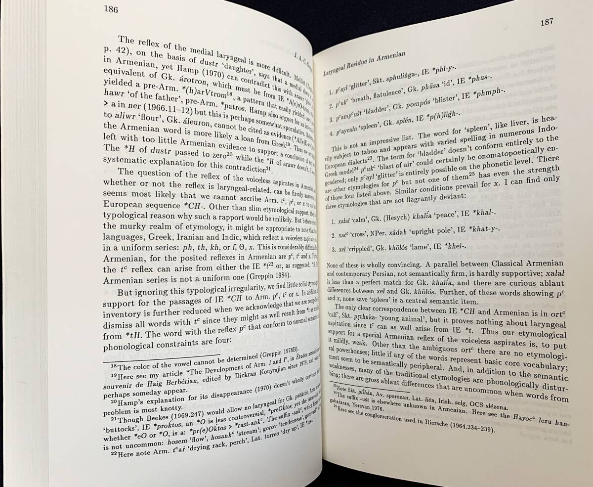 ドイツ語洋書 喉音理論と印欧祖語の音声・形態体系の再構成 第1巻【Die Laryngaltheorie】●比較言語学 ソシュール アナトリア語 ラテン語