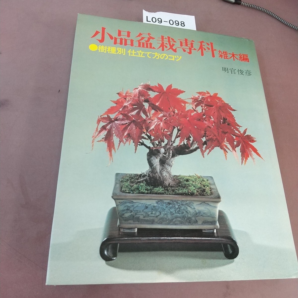 2025年最新】Yahoo!オークション -小品盆栽専科(本、雑誌)の中古
