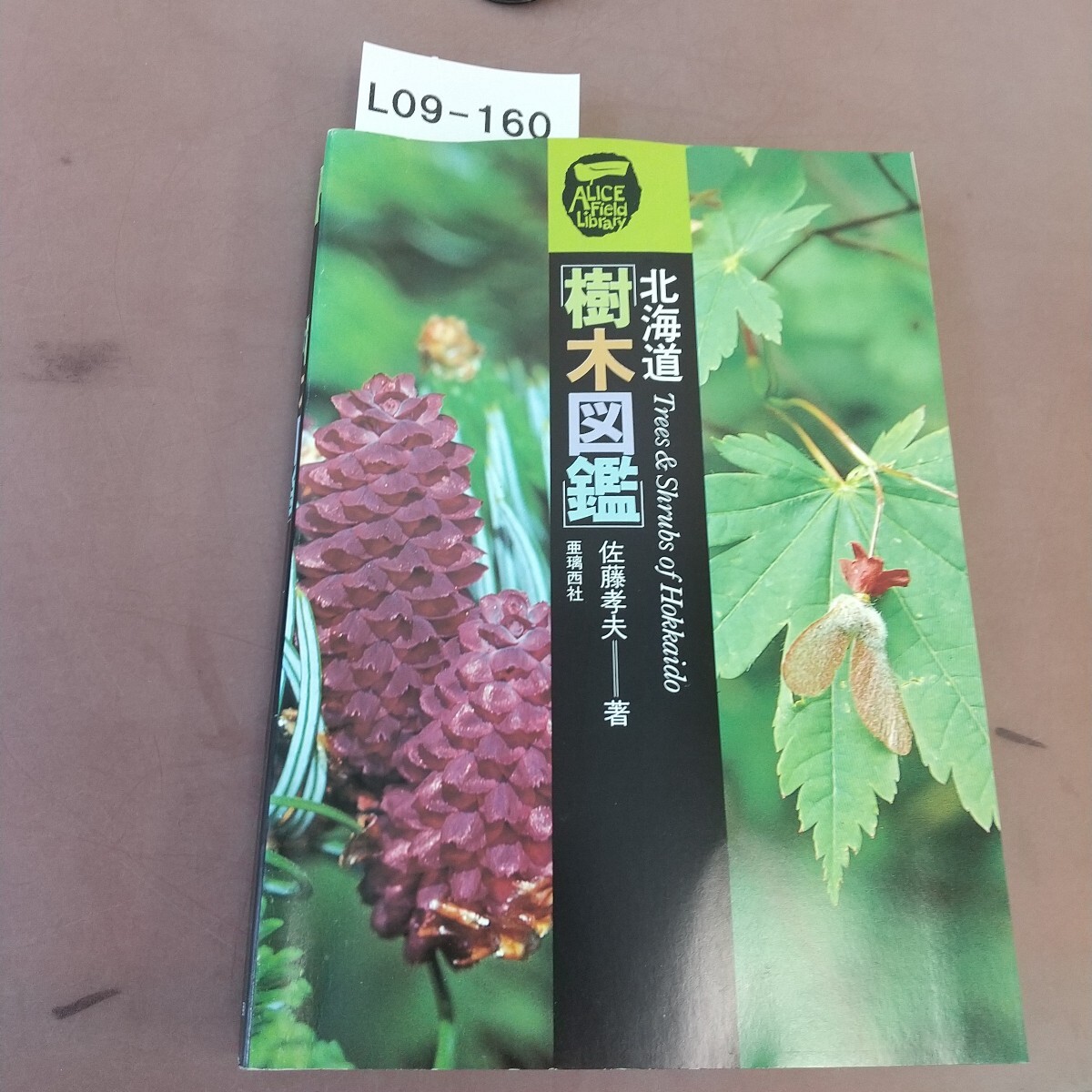 佐藤 L09-160 北海道 樹木図鑑 佐藤孝夫