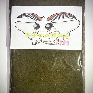 シルクワーム 蚕 カイコのご飯 100g そのまま使える