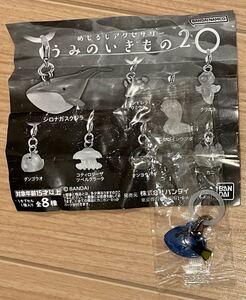 ナンヨウハギ チャーム うみのいきもの2 バンダイ 目じるしアクセサリー