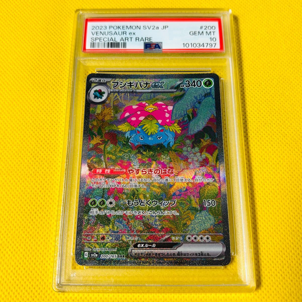 Yahoo!オークション -「ポケモンカード151 フシギバナ」の落札 Yahoo!オークション -「ポケモンカード151 フシギバナ」の落札