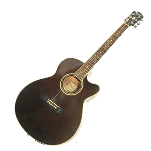 Ibanez AEG24-II THS | Reverb