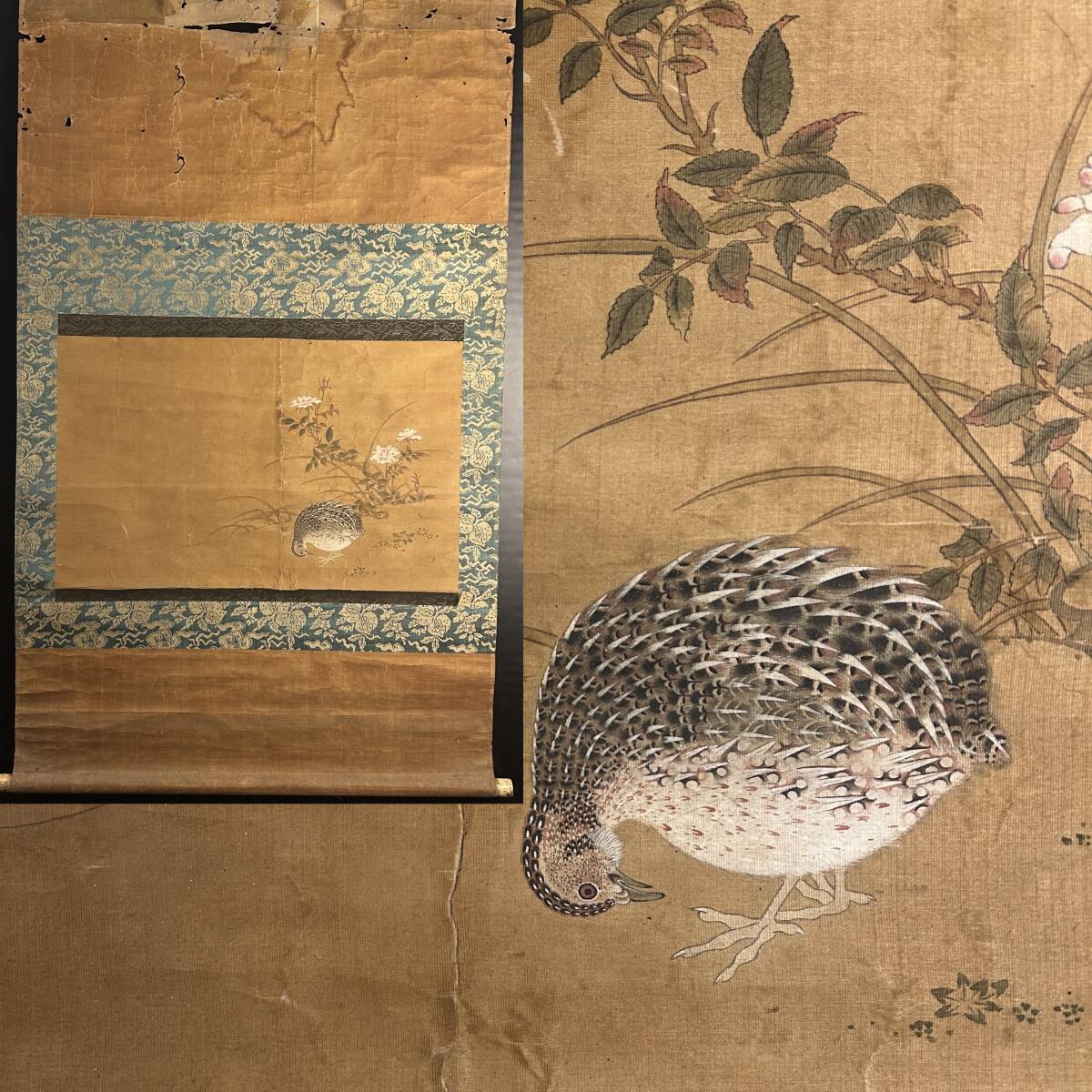 前川文嶺 鶉 ウズラの図 花鳥画 肉筆、絹本 額入り|サムライ