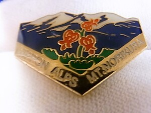 ビンテージ/ヴィンテージ 思い出の品 COLLECTIONコレクション NIPPON Alps MT.NORIKURA ピンバッジ◇