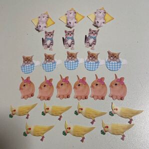 【送料無料】ねこ うさぎ インコ フレークシール 猫 兎 小鳥