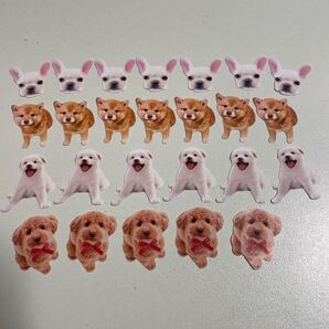 【送料無料】いぬ 犬 フレークシール フレブル 柴犬