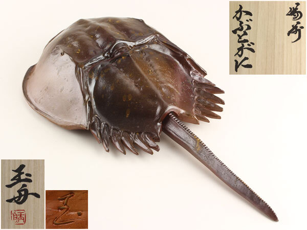 Yahoo!オークション -「木村玉舟」(備前) (日本の陶磁)の落札
