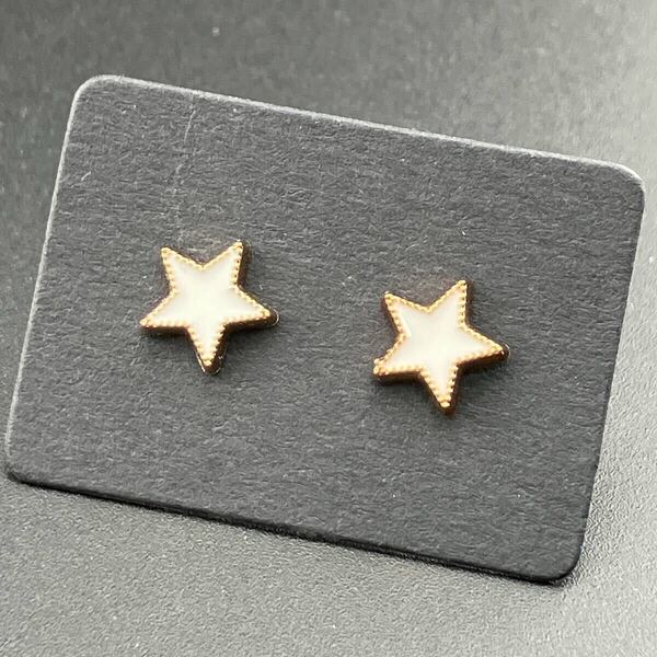 【新品】格安!即日発送◆収納ケース付◆樹脂ピアス キャッチ付 金属アレルギー対応 ワンポイント スタッドピアスト◆星 スター no965