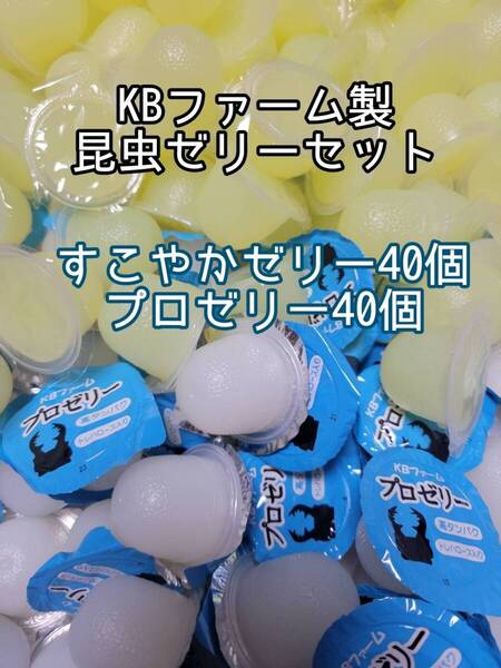 人気昆虫ゼリーセット KBファーム すこやかゼリー プロゼリー 計80個 カブトムシ クワガタ オオクワ オオクワガタ ドルクスゼリー