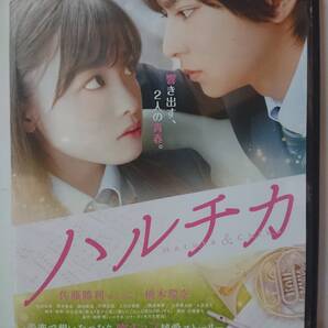 ハルチカ DVD/佐藤勝利 橋本環奈 恒松祐里 志賀廣太 清水尋也 前田航基 平岡拓真 上白石萌歌 二階堂姫瑠 小出恵介