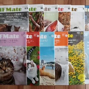 Jafe Mate_2021年8.9月~2023年夏号★12冊セット★ジャフメイト、雑誌、犬【送料無料】