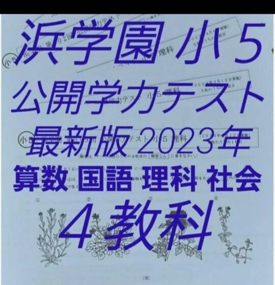 【バラ売り可】 浜学園　小5　算数・国語 浜学園 小5 マスター 算数 Sクラス 復習テスト - メルカリ
