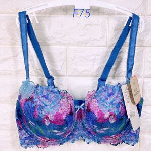 新品 トリンプ プレミアム レッドレーベル0088 ブラジャー F 75