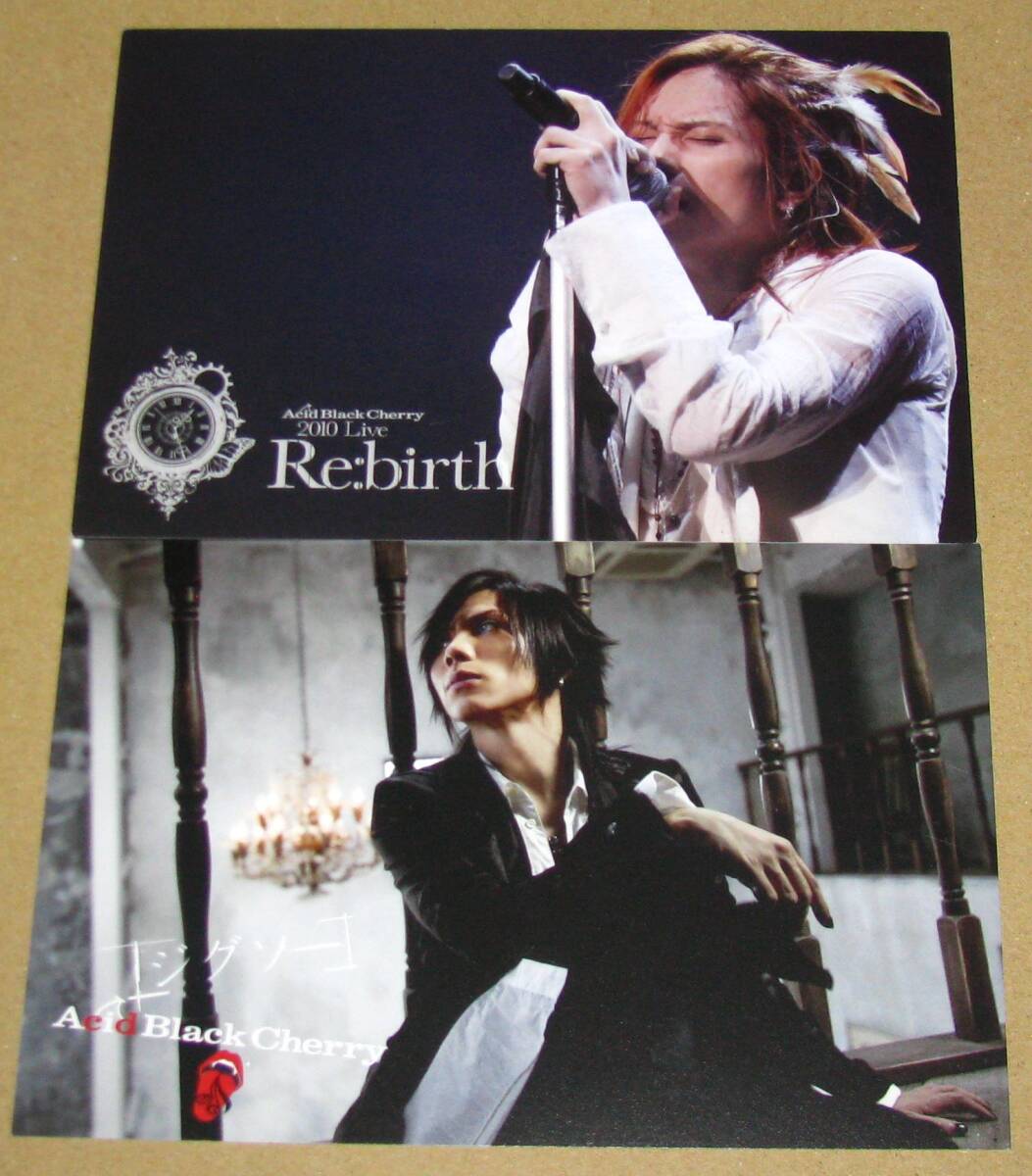 2025年最新】Yahoo!オークション -acidblackcherry カードの中古