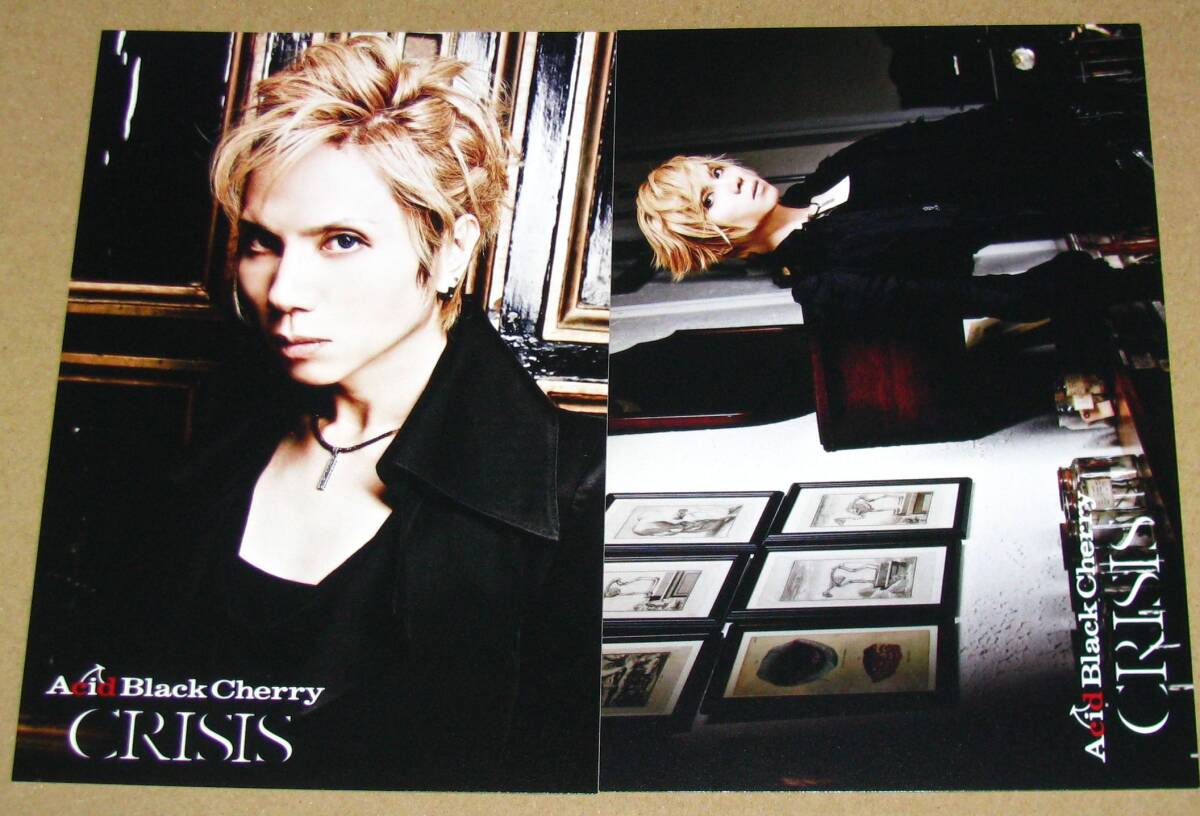 2025年最新】Yahoo!オークション -acidblackcherry カードの中古 2025年最新】Yahoo!オークション -acidblackcherry カードの中古