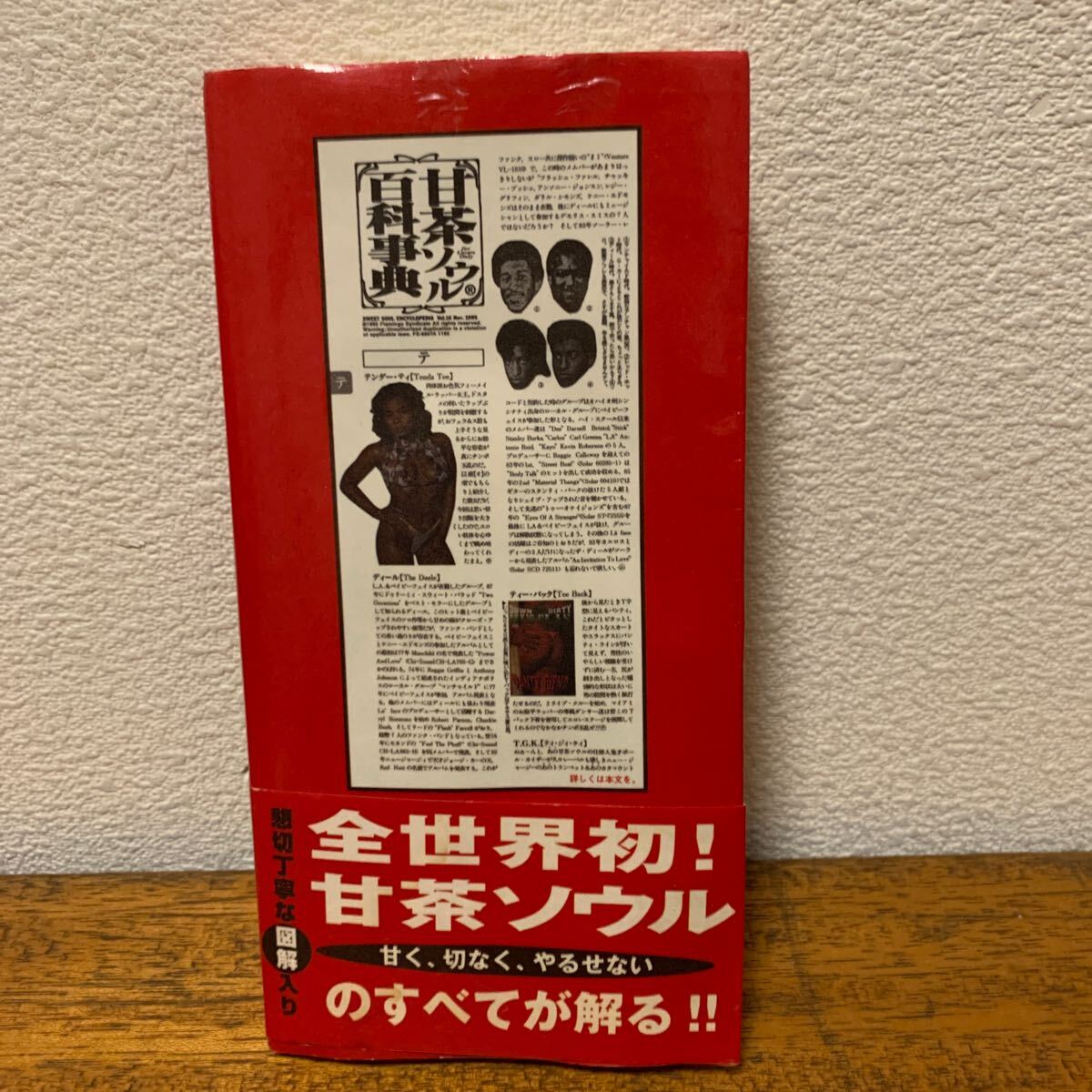 Title/ 甘茶ソウル百科事典 Author/ テリー・ジョンスン