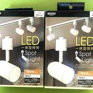 スポットライト LED一体型 電球色 【2個セット】 電球色SPLE06L02
