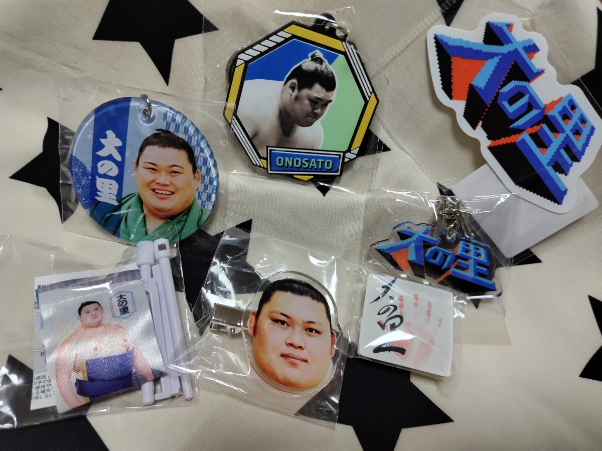 2025年最新】Yahoo!オークション -大相撲グッズの中古品・新品
