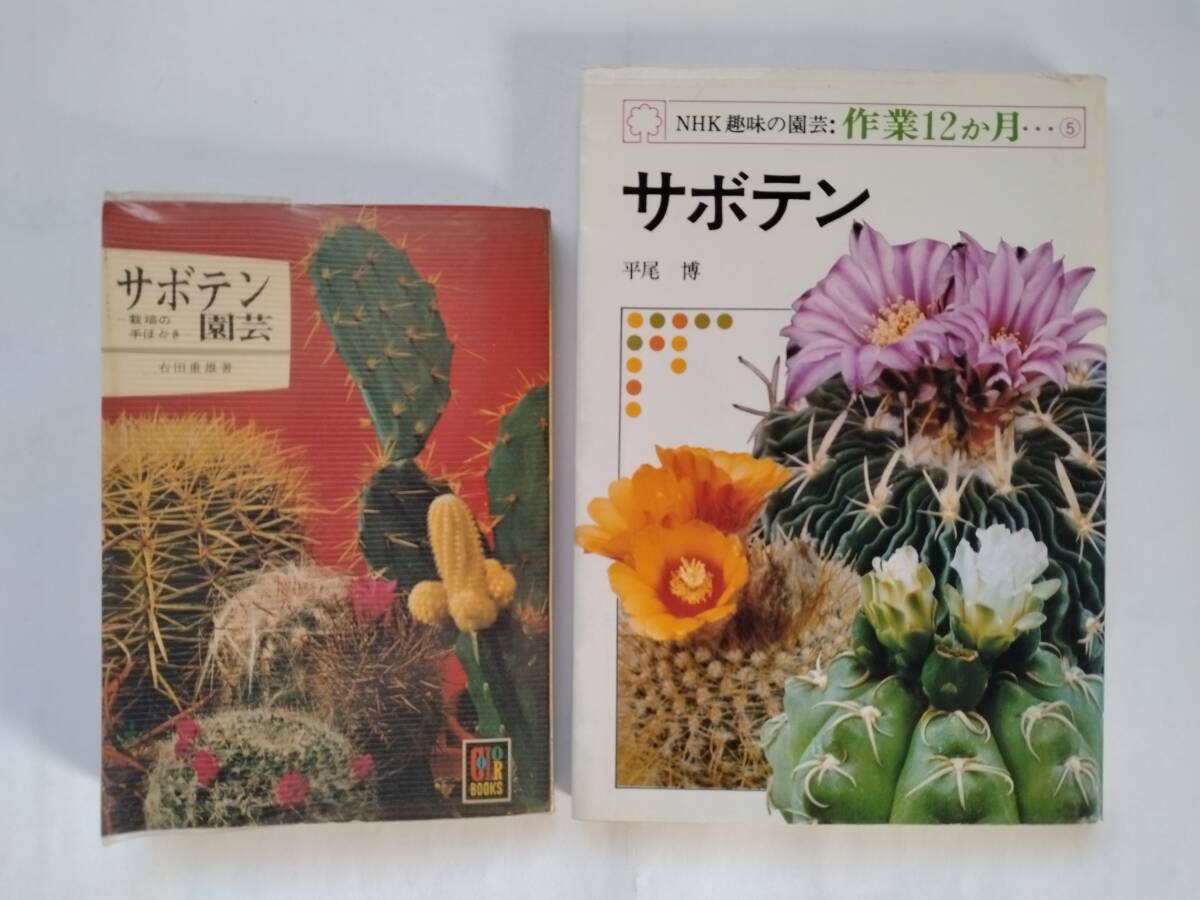 2025年最新】Yahoo!オークション -サボテン(本、雑誌)の中古品 2025年最新】Yahoo!オークション -サボテン(本、雑誌)の中古品