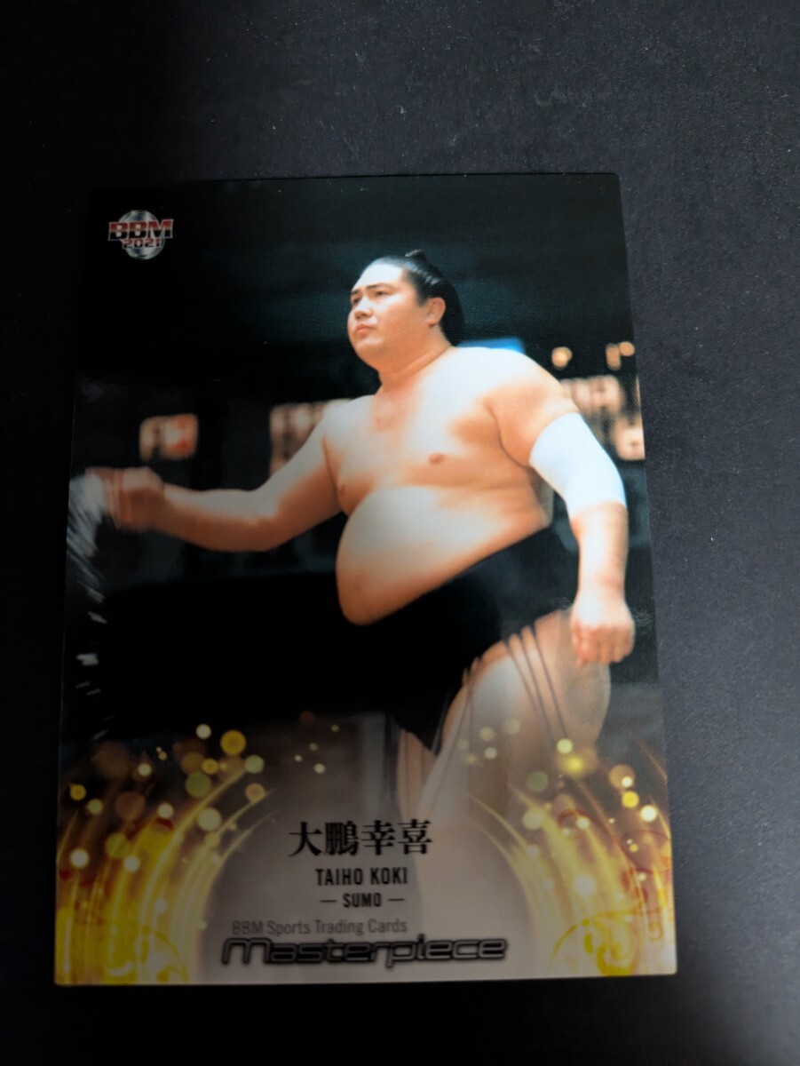 【代引可】 昭和時代の大横綱 大鵬(大鵬幸喜)『忍』掛軸〔絹本肉筆真作 相撲