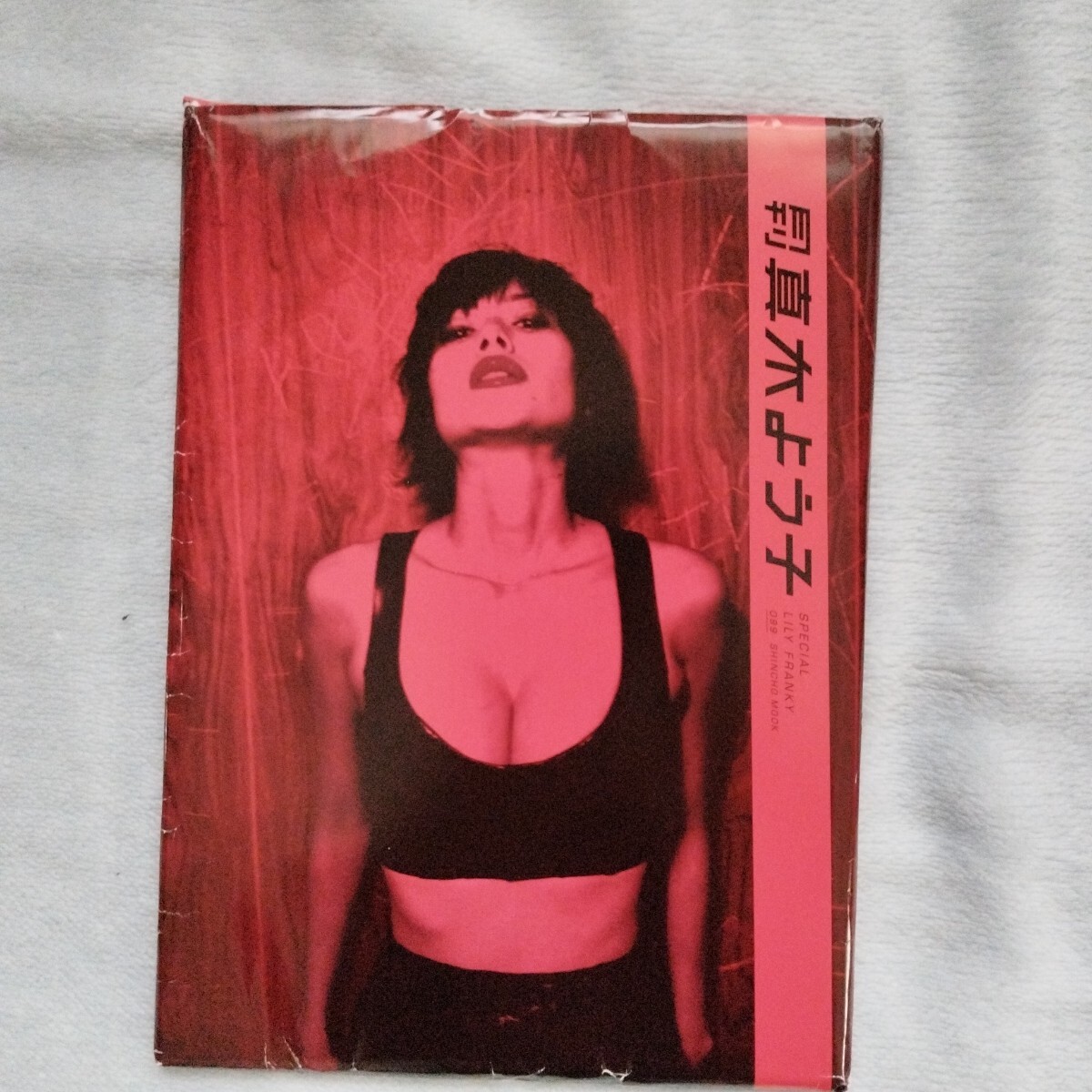 2025年最新】Yahoo!オークション -月刊真木よう子 写真集の中古