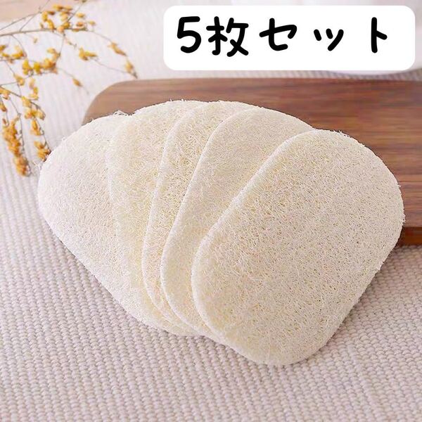 ヘチマ スポンジ へちまたわし 天然素材エコ生活 キッチン 食材 5枚セット