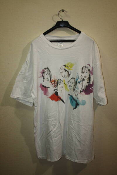 Tシャツ 新品同様 ももいろクローバーZ ⑪ (検索:夏服/アロハシャツ/メンズ/レディース/海水着/カジュアル/部屋着/洋服/ライブツアー)