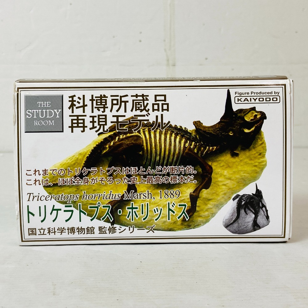 セロウリネラ（三葉虫）国立科学博物館再現モデル （三葉虫 喋れ