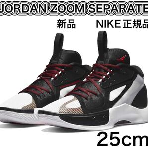 新品未使用 NIKE JORDAN ZOOM SEPARATE 25cm ナイキ ジョーダン ズーム 箱ありタグあり 送料無料 NIKE正規品