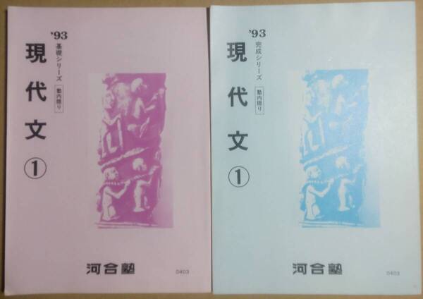 河合塾 1993年 大学受験科 現代文① 基礎シリーズ・完成シリーズテキスト セット