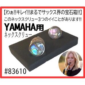 【宝17】ヤマハ用 新品ネックスクリュー サウンドブースター おまけあり