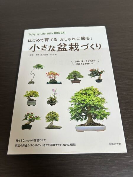 ◆送料無料 即決 初版◆はじめて育てる おしゃれに飾る! 小さな盆栽づくり◆関野正/松井孝